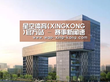 案例展示四